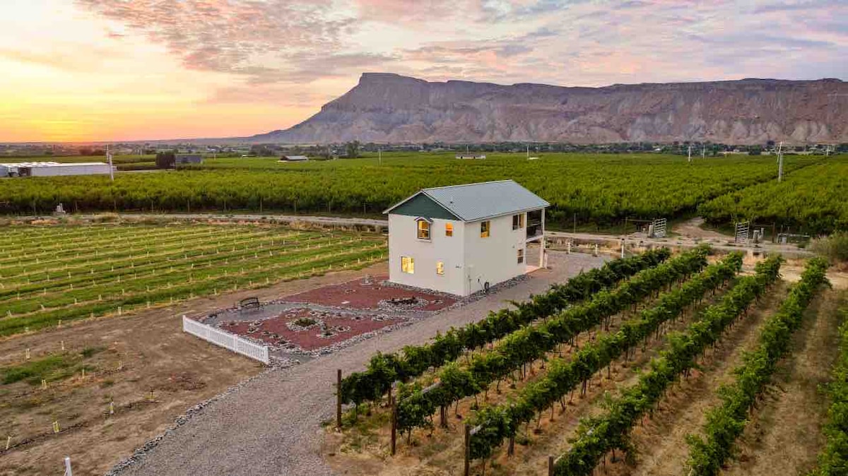 An aerial view captures a two-story home bordered by sprawling vineyards and orchards. The structure features multiple windows glowing at sunset, with the Bookcliff mountains rising in the background, providing a serene rural landscape. The surrounding rows of grapevines create a sense of tranquility.