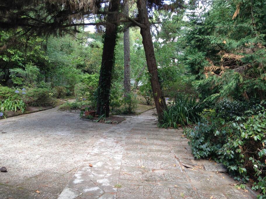 Grand jardin