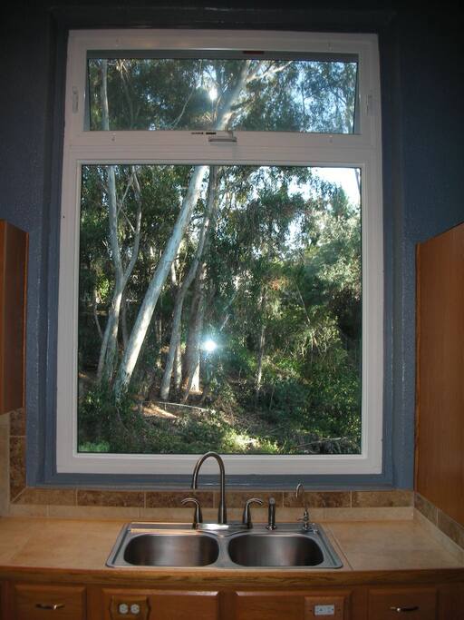 Canyon from Kitchen