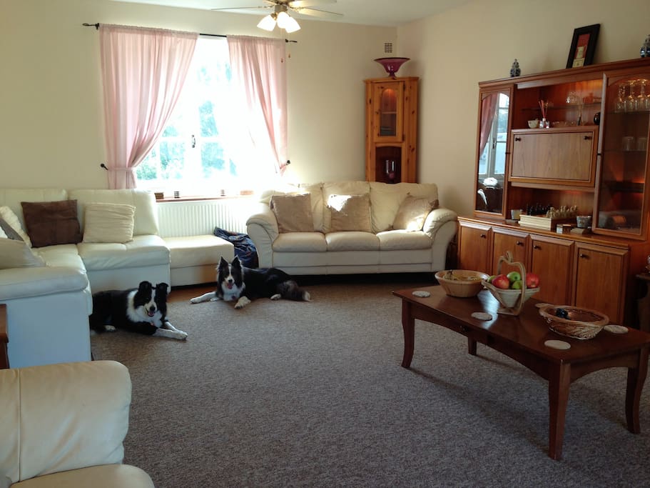 Lounge, with lots of games & jigsaws provided