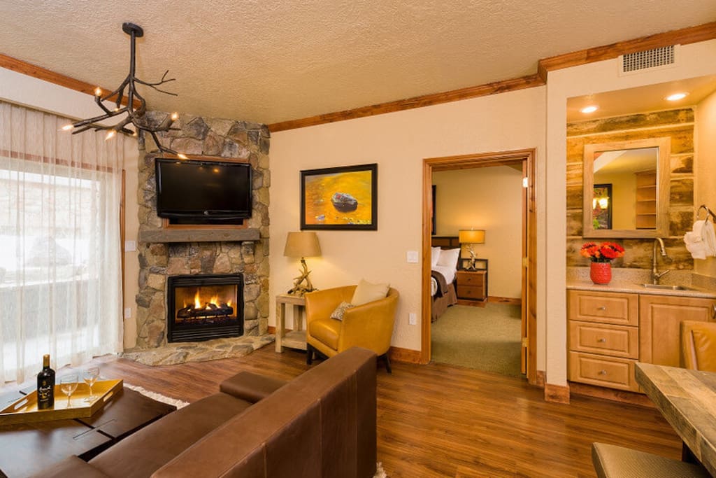 Main living space with fireplace, TV, stereo, and wet bar