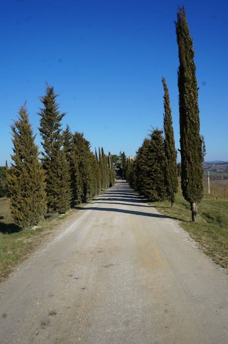 Strada di accesso