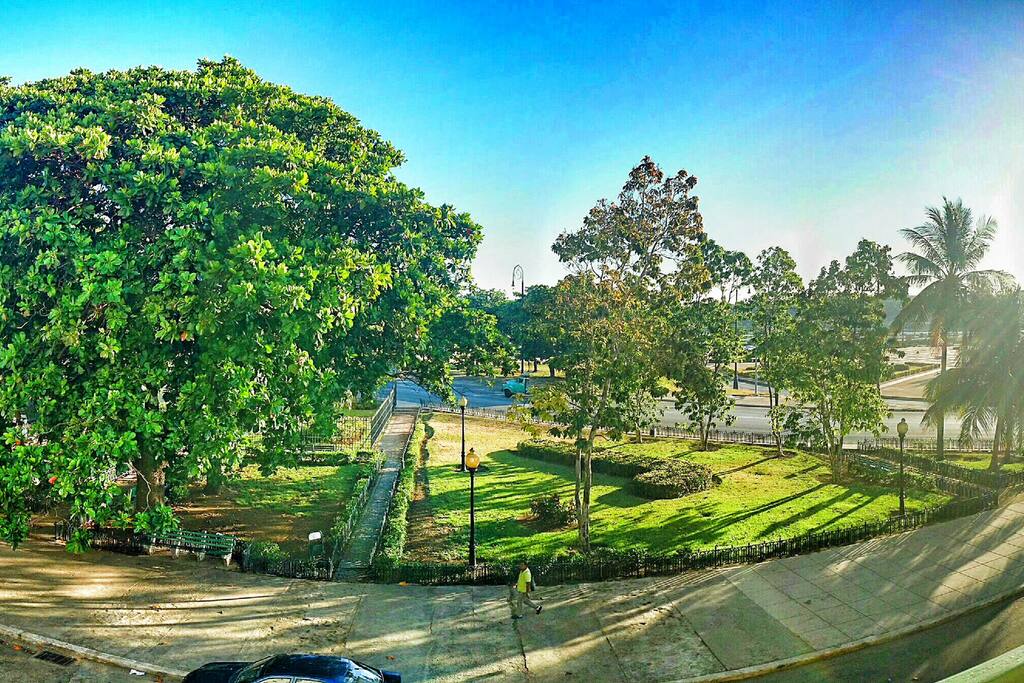 VISTA DESDE SU BALCON