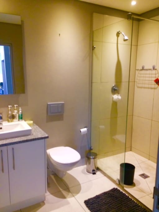 Bathroom with a shower and heated towel rails - shampoos and conditioners, soaps