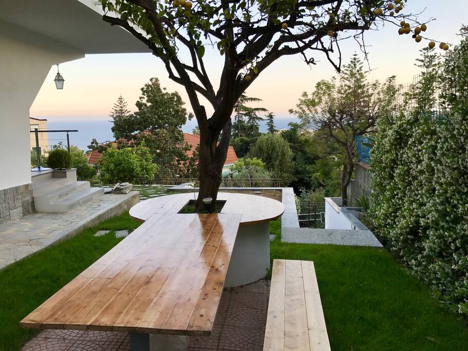 The lemon tree table at sunset