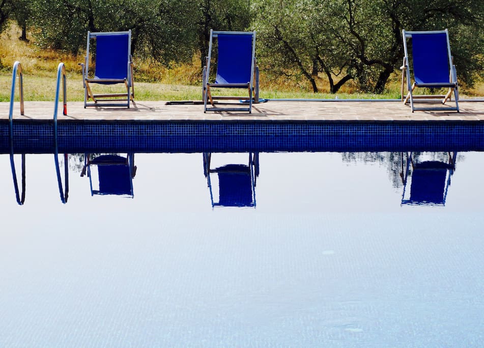 Stunning pool with views