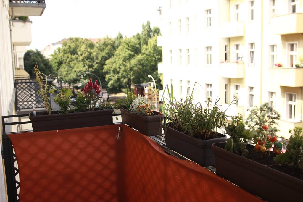 Balcony (SW side)