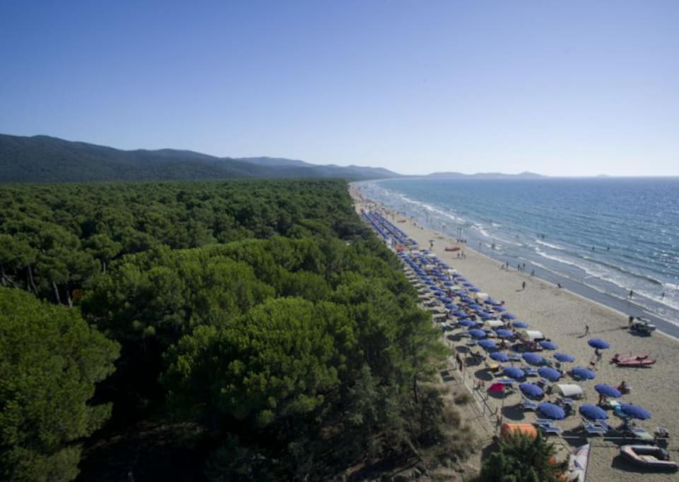 Una delle splendide spiaggie di Punta Ala e pineta mediterranea
