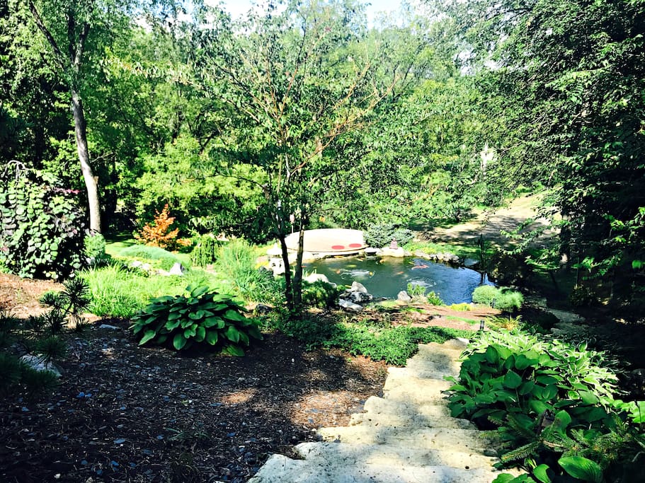 welcome to our autumn season here at the koi whisperer sanctuary japanese gardens - Japanese Koi Garden welcome to our autumn season here at the koi whisperer sanctuary japanese gardens - Japanese Koi Garden