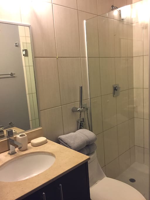 Guest Bathroom (Updated Oct 2016)