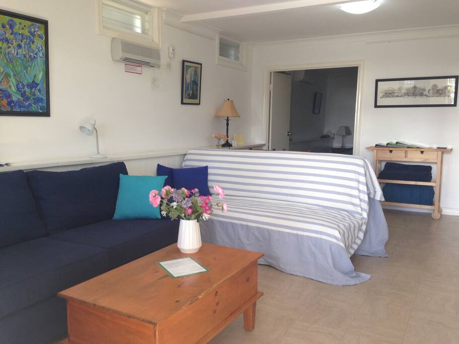 2 couches. The darker on the left is a double sofa bed the other, a click clack sofa, makes into a single bed.