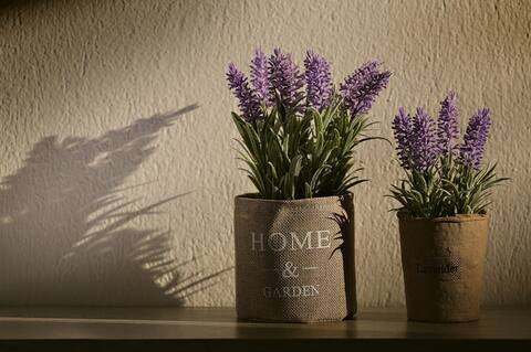 Entire apartment to Igoumenitsa (State ID 734155)