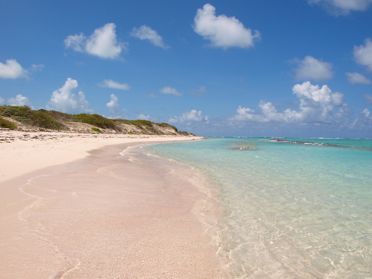 A serene beach landscape is depicted, featuring soft pink sands gently curving along turquoise waters. Lush greenery lines the shore, with evident dunes in the background under a clear blue sky dotted with fluffy white clouds.