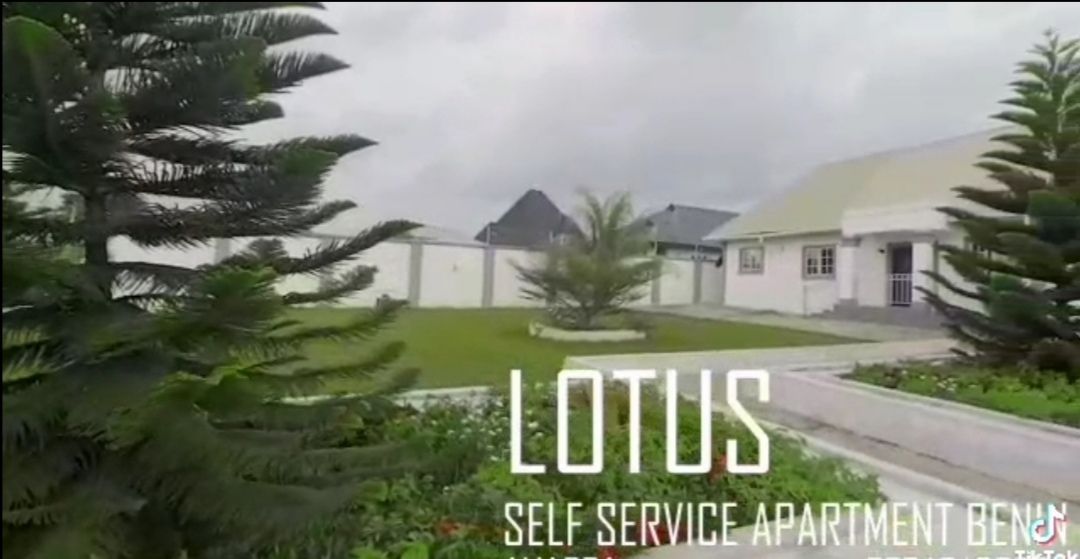The exterior of the Lotus Self Service Apartment features a spacious green lawn bordered by well-maintained shrubs and palm trees. The building has a clean architectural design and is set against a cloudy sky, evoking a serene atmosphere.