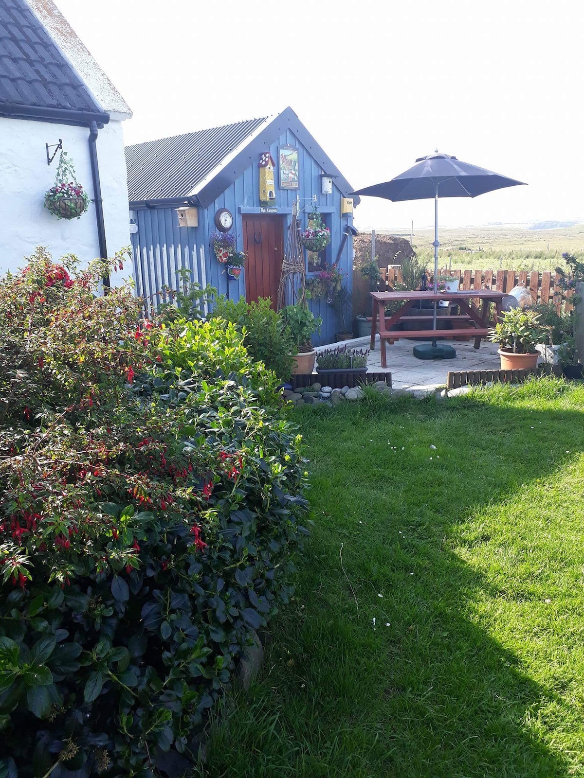 A charming exterior features a blue cottage with decorative elements, surrounded by lush green grass and vibrant flowers. A wooden picnic table is shaded by an umbrella on a stone patio, inviting outdoor relaxation amidst a tranquil setting.
