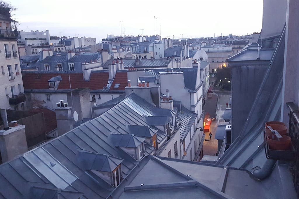 vue sur les toits de Paris