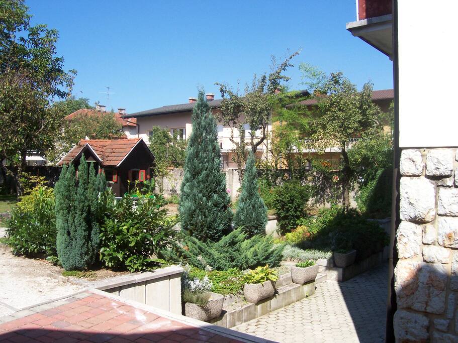Big green garden