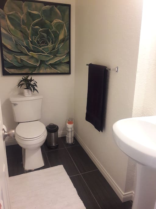 Downstairs bathroom (half)