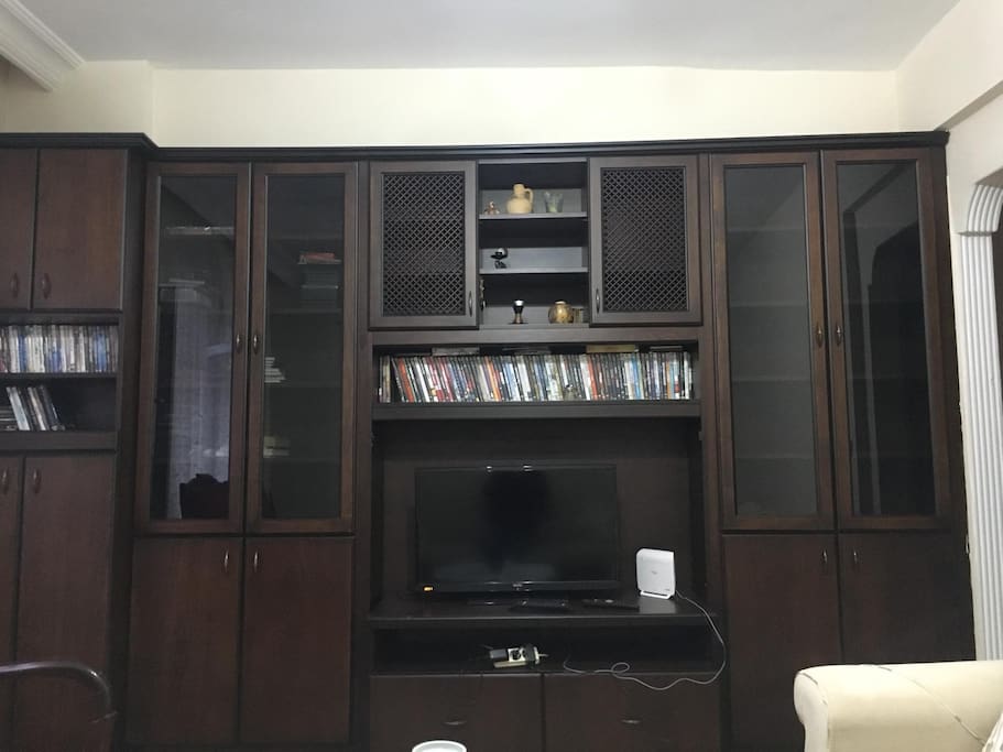 Livingroom. There is over 100 films and documentary DVD which you can watch with your laptop.