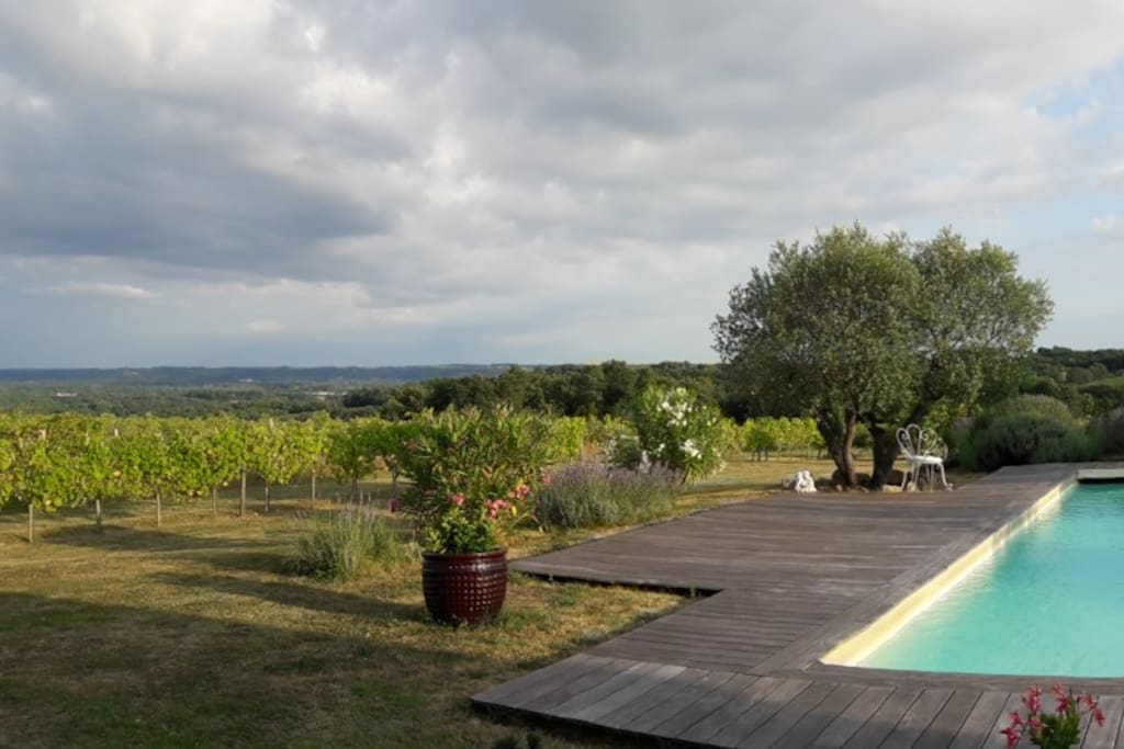 vue panoramique sur les vignobles alentours depuis la piscine