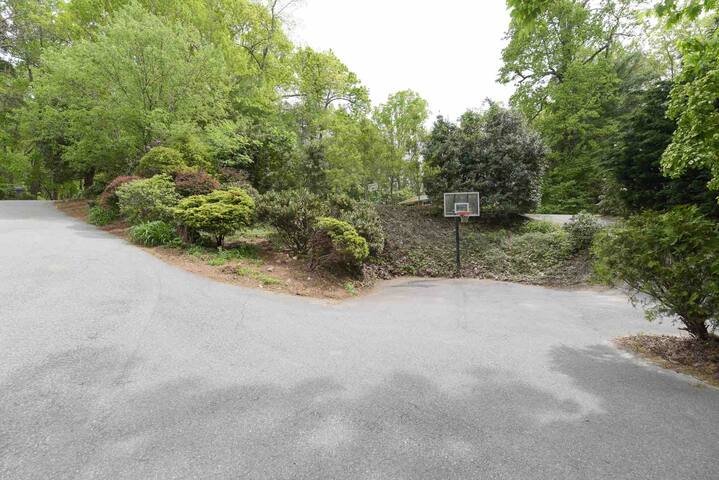 Chateau on Patton Mountain! Minutes to downtown! gallery image 3