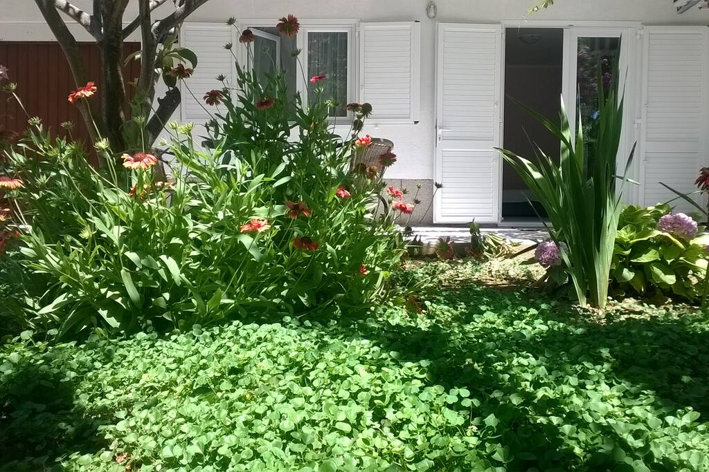 Garden and lawn in front of the apartment