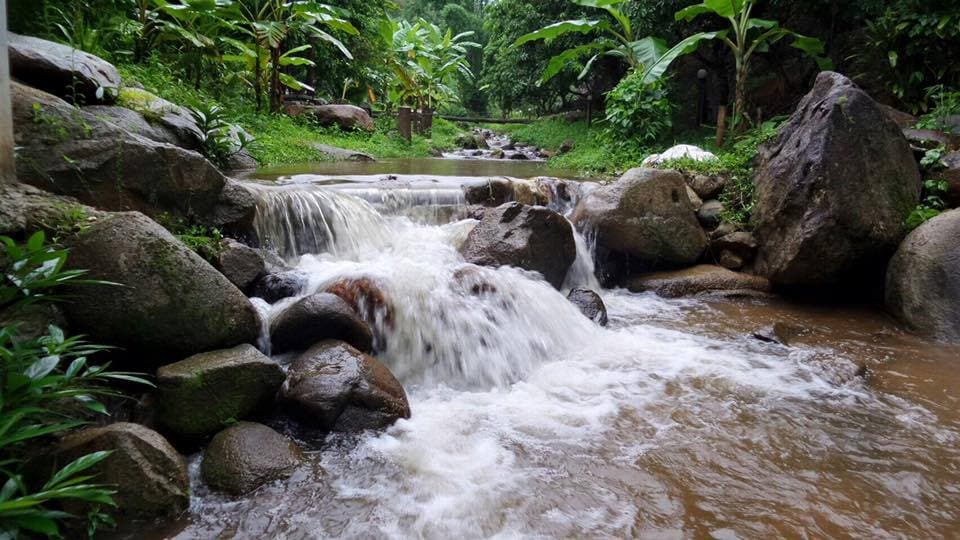 A gently flowing stream meanders through a lush landscape, surrounded by large rocks and greenery. Water cascades over smooth stones, creating a soothing sound. The environment is rich with tropical plants, adding to the serene natural setting.
