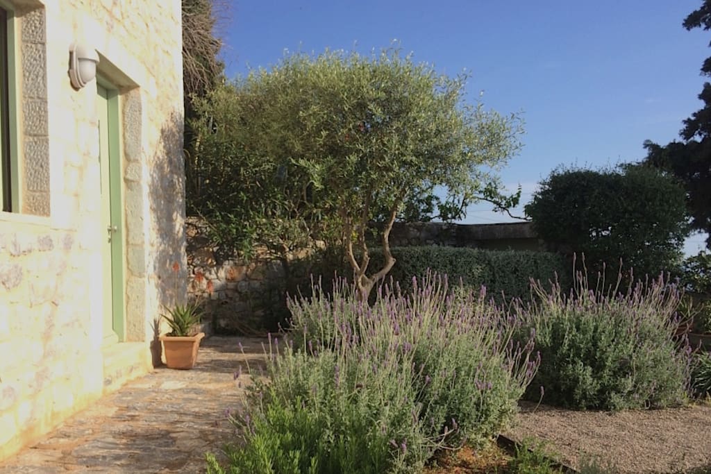 Garden in front of the house