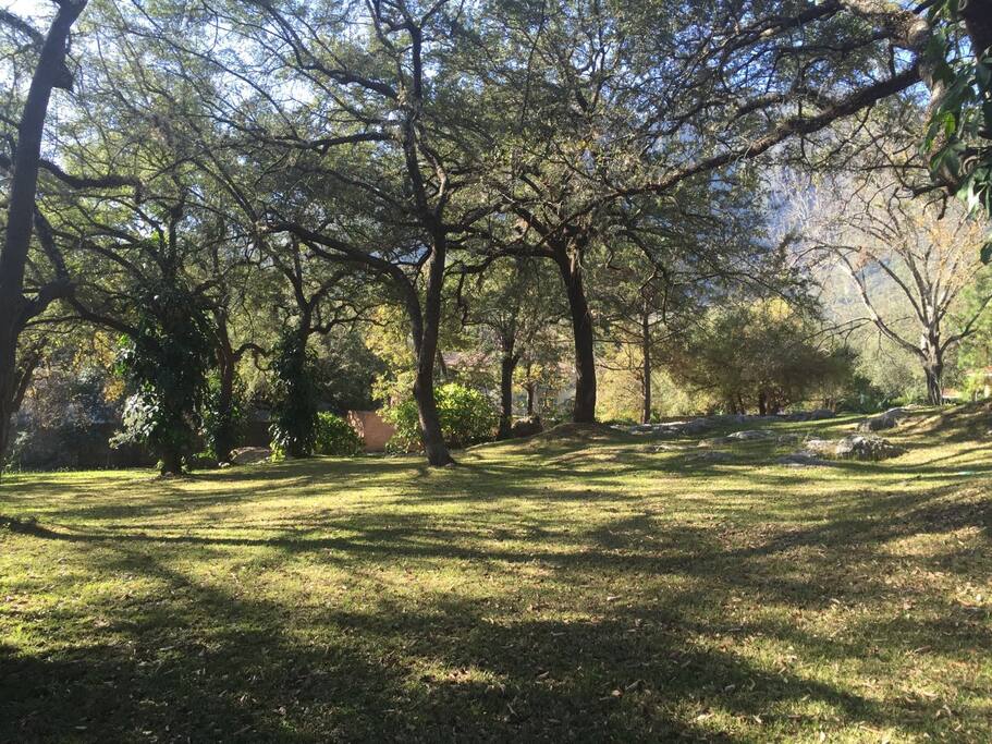 jardín arbolado