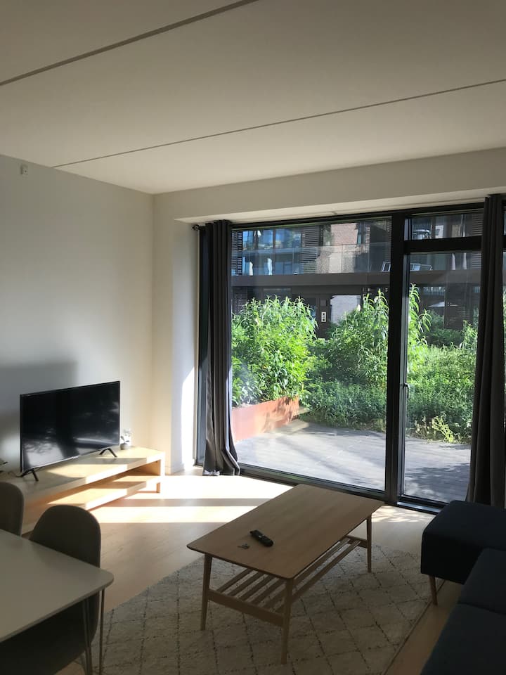 غرفة المعيشة