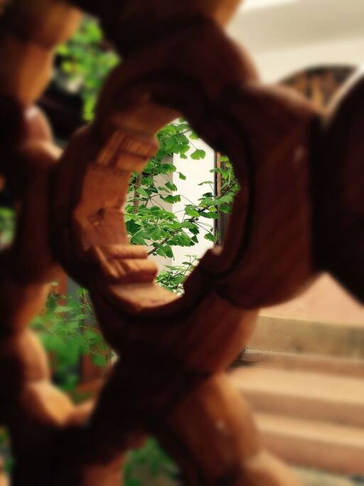 Details in the garden