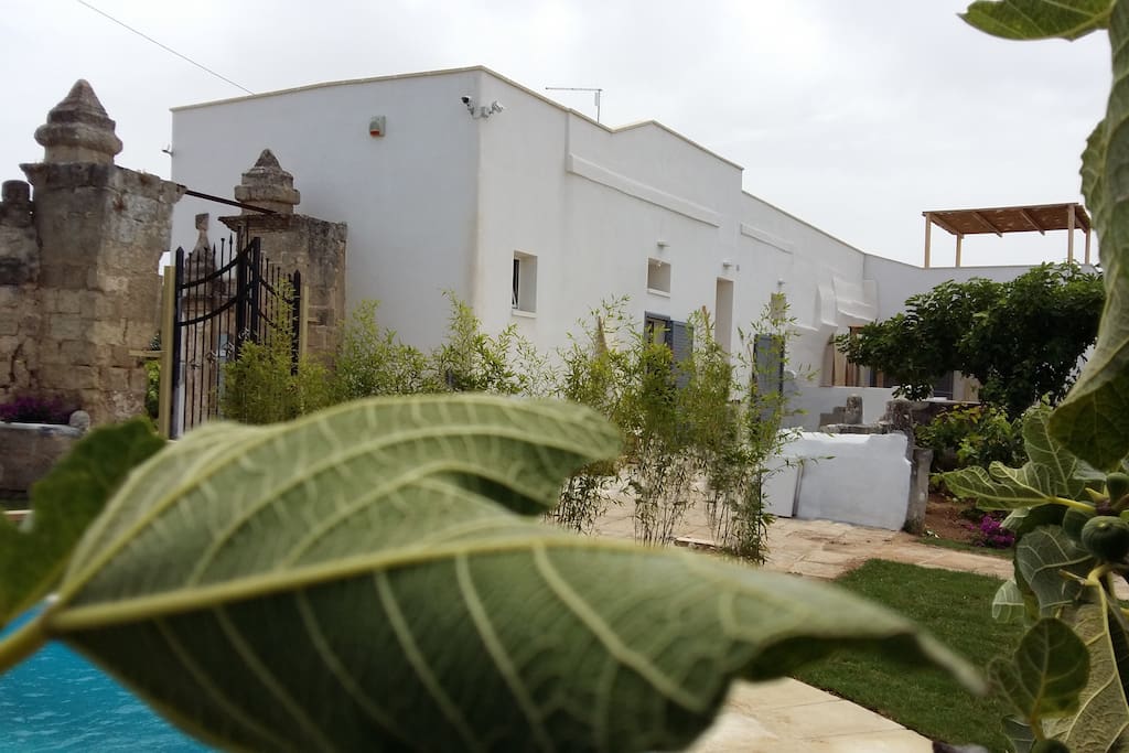 Il Casale visto dalla piscina