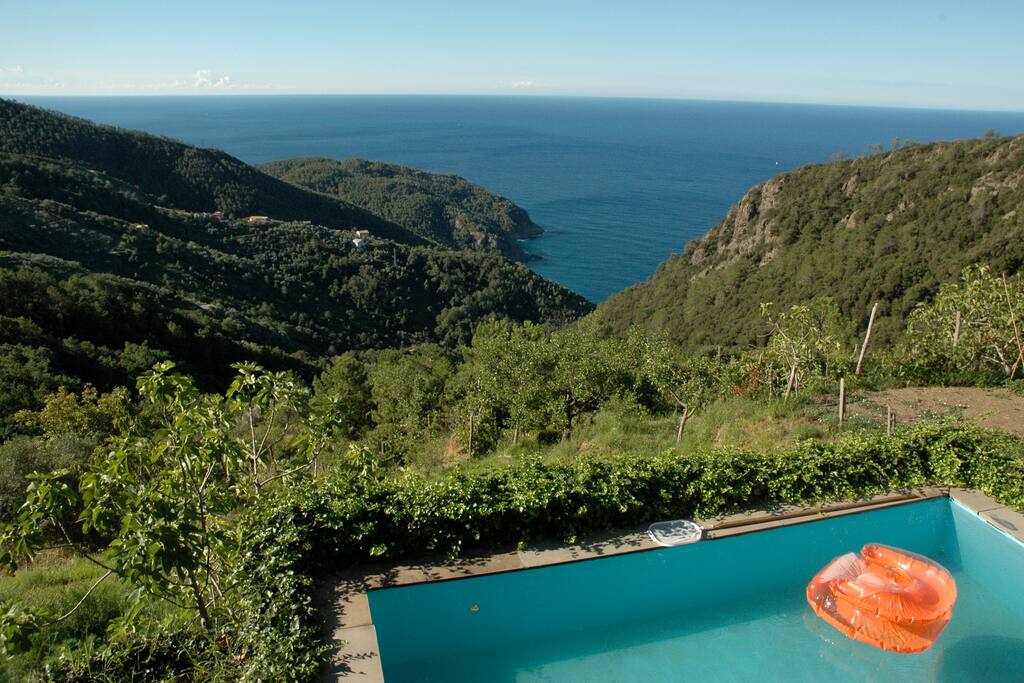 Swimming with a view to the ocean