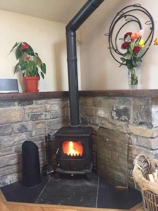 Solid Fuel Stove