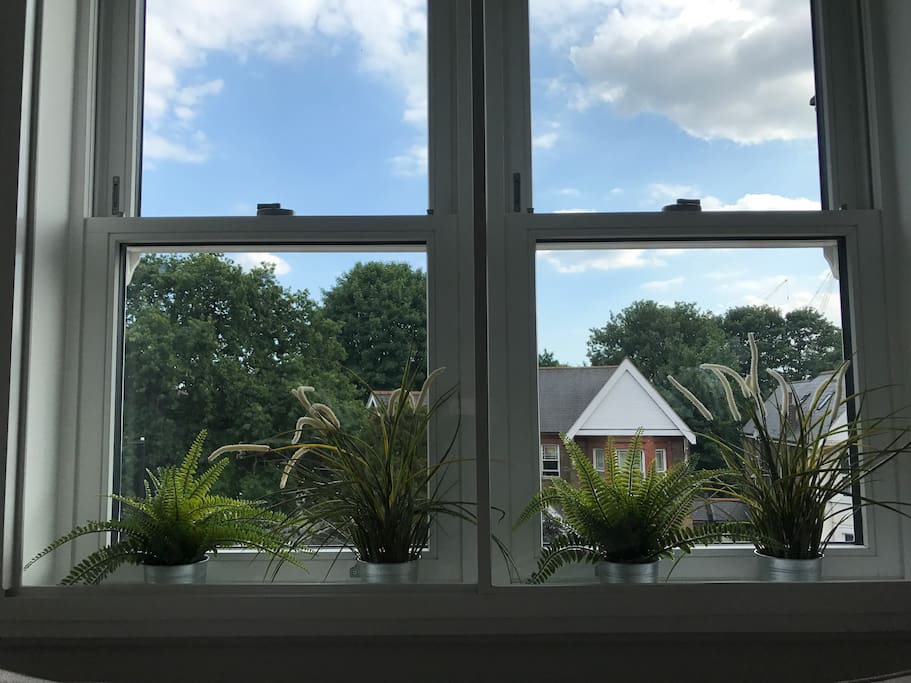 View from our living room