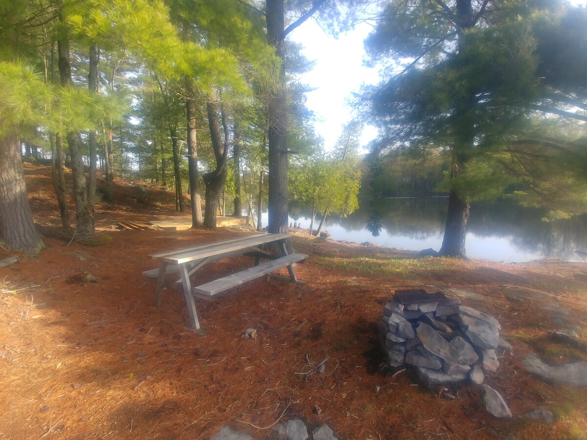 A picnic table made of wood is positioned on a carpet of pine needles, adjacent to a stone firepit. Tall trees surround the area, with glimpses of calm water visible in the background. Sunlight filters through the branches, creating a serene atmosphere.