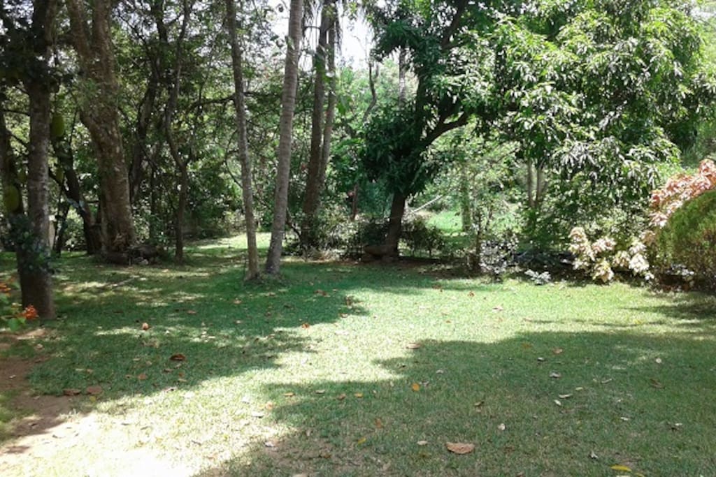 the gardens