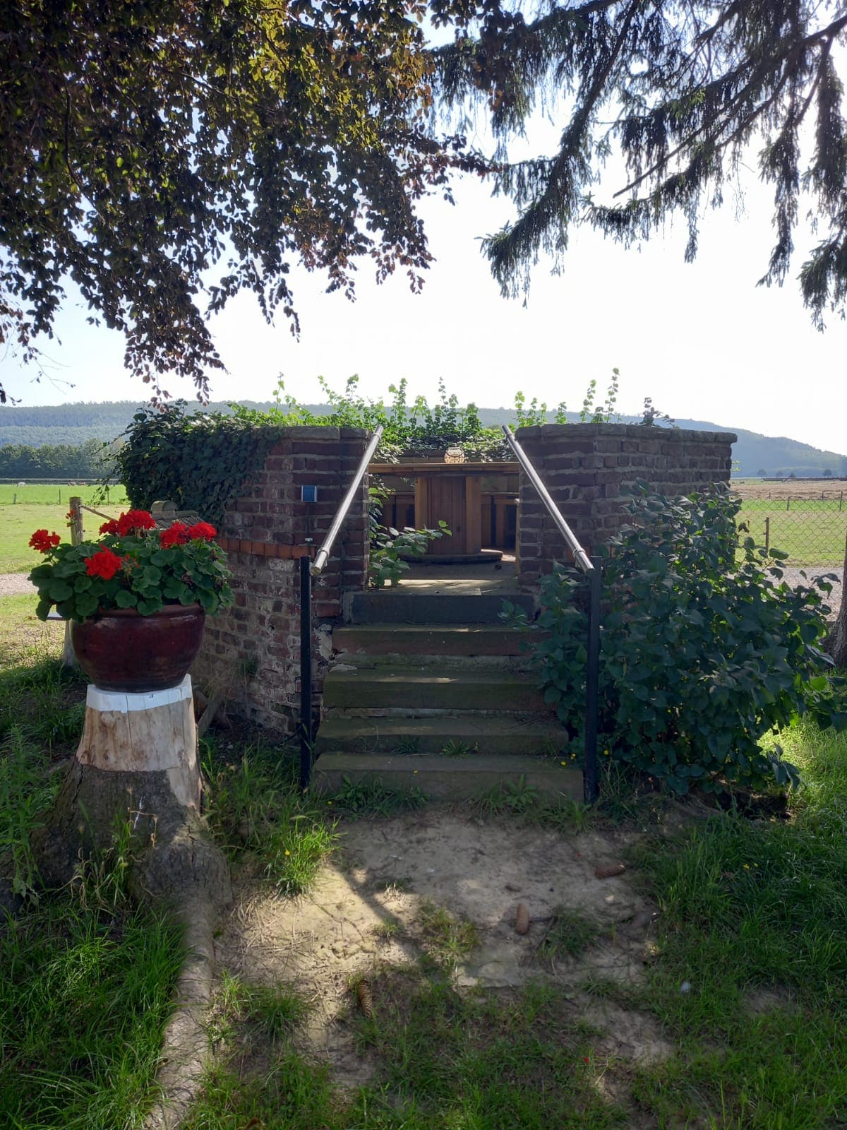 An outdoor seating area is accessed by stone steps, surrounded by greenery and vibrant flower pots. A wooden bench is positioned at the top, providing a peaceful view of the surrounding fields and hills. Sunlight filters through the trees, creating a serene environment.