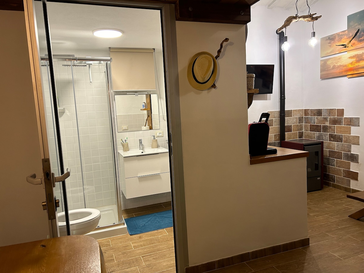 A well-lit entrance leads to a functional bathroom, showcasing a modern vanity and shower area, enclosed by glass. To the right, a living space is visible, featuring a small kitchenette and decorative touches, including a soothing landscape artwork and unique light fixtures.