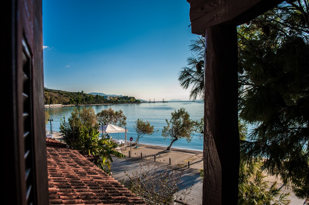 A serene view of the coastline is visible from a window, showcasing calm waters reflecting the sky. Lush trees frame the scene, while a sandy beach stretches along the shoreline. The distant horizon features gentle hills, adding depth to the tranquil setting.