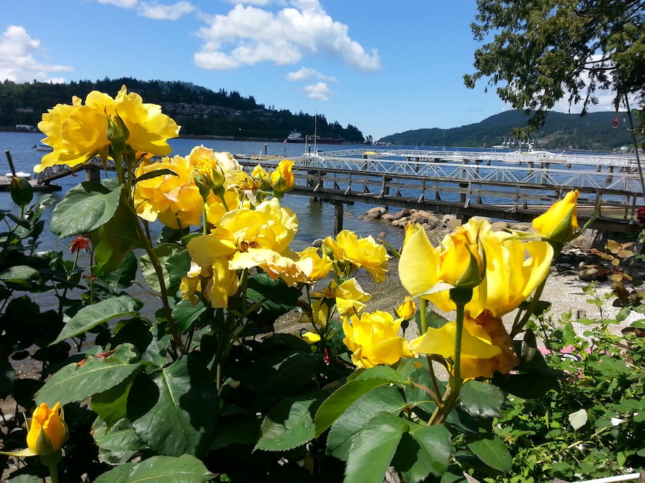 port moody christian dating site We clean windows, gutters, blinds, over 27 years in buisness voted #1 window cleaning company year after year. port moody christian dating site We clean windows, gutters, blinds, over 27 years in buisness voted #1 window cleaning company year after year.
