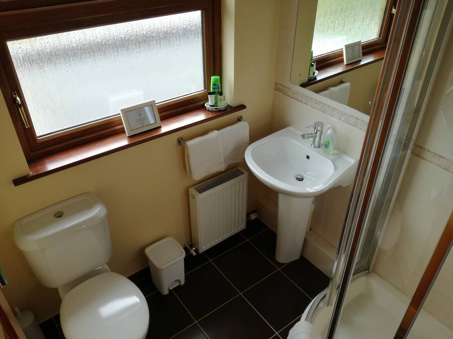 The Shower Room