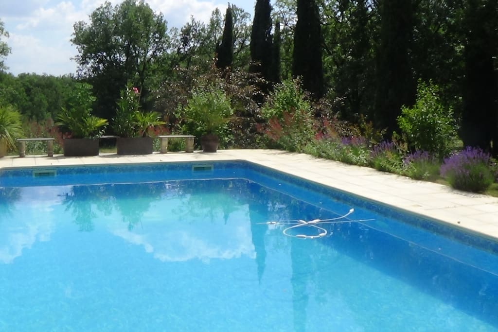 piscine 10 m sur 5