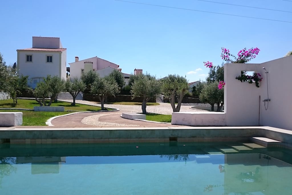 View from pool & common house.