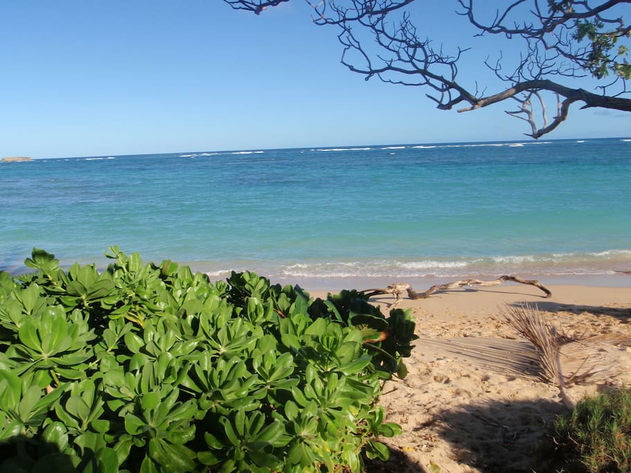 pristine beach in front of unit