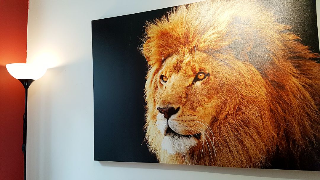 An artistic depiction of a lion fills the canvas, featuring a majestic mane in warm hues. Soft light from a nearby lamp casts a gentle glow on the wall, enhancing the striking image.