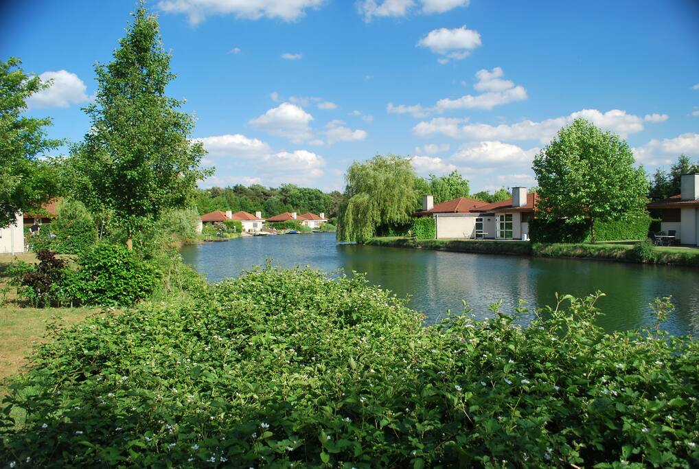 Parkje met veel natuur