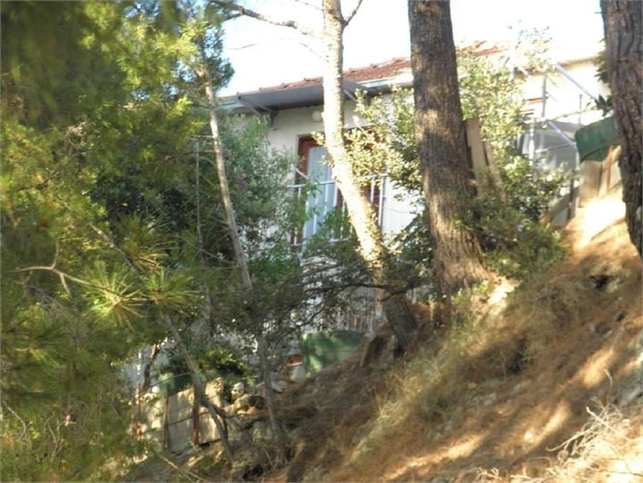 house