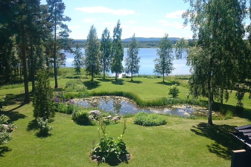 Summers day