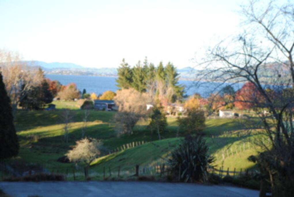 View Lake Rotorua